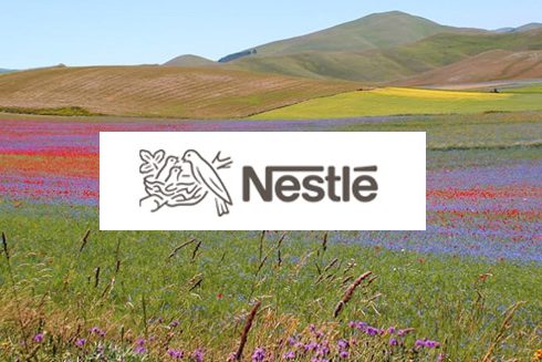 nestle